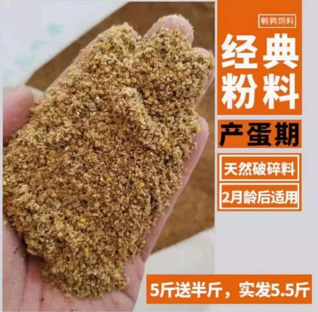 商品鹌鹑活苗包邮到家