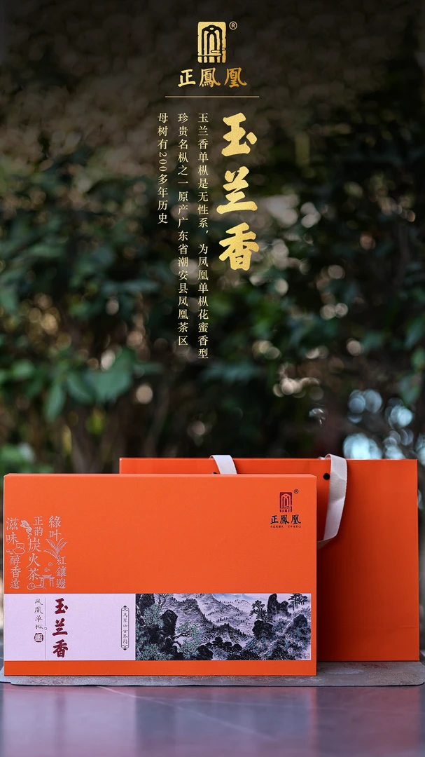 正凤凰 凤凰单丛 潮汕功夫茶传统碳培浓香乌龙茶 玉兰香
