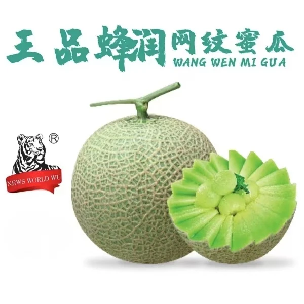 【王品】海南蜂润网纹瓜4.5斤2个装/8斤3-4个装