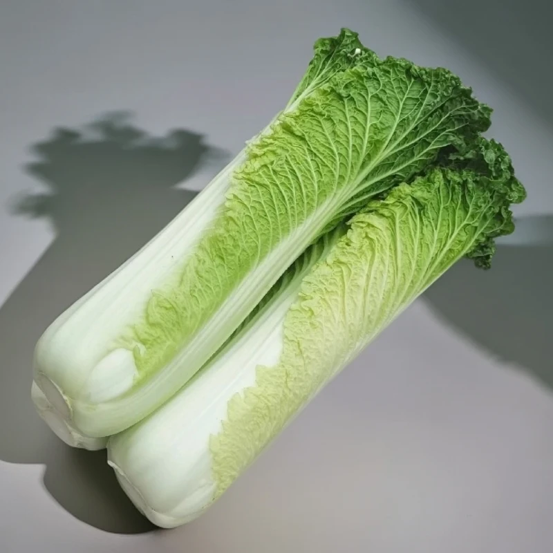 贵州高海拔青口白菜新鲜蔬菜农家自种现砍现发