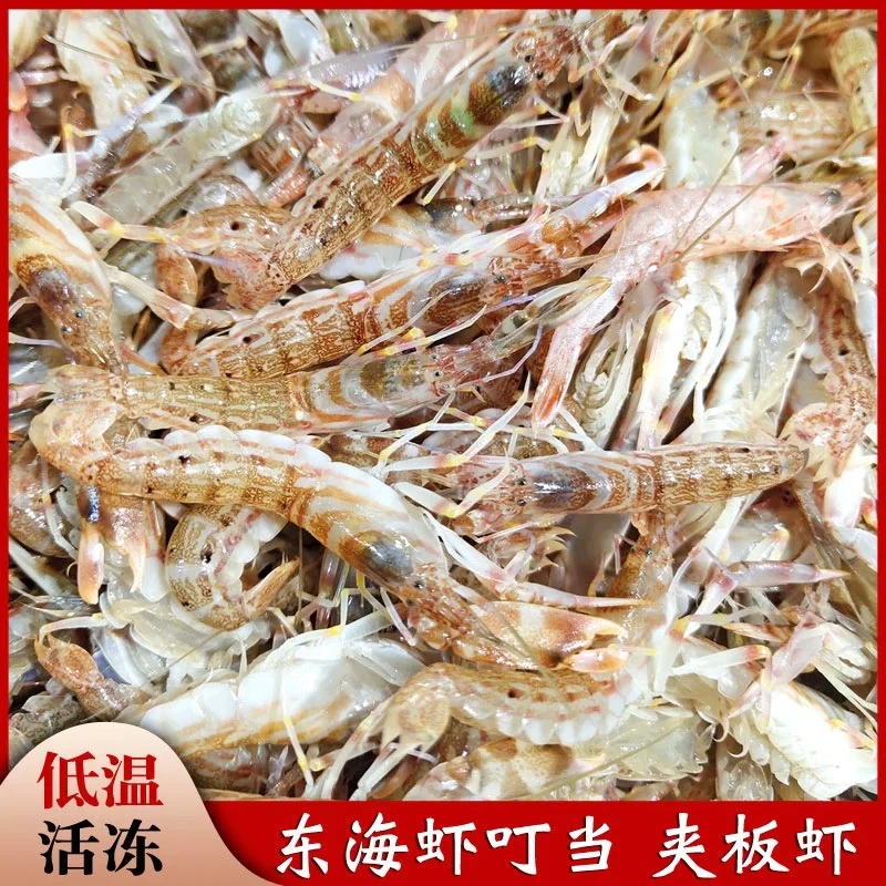 东海海捕虾叮当3斤 鲜活超低温活冻发货夹板虾 花腰虾速冻锁鲜