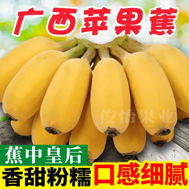 【点关注立减】广西苹果蕉农家现摘产地直发新鲜水果粉香蕉1/5/10斤