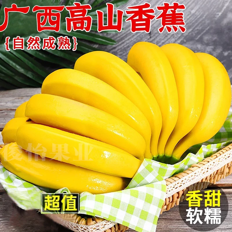 【点关注立减】高山香蕉香甜软糯10斤新鲜采摘广西应季水果1/5斤散