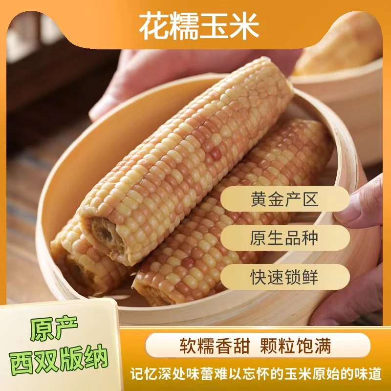 西双版纳香糯小玉米花糯新鲜甜糯真空锁鲜
