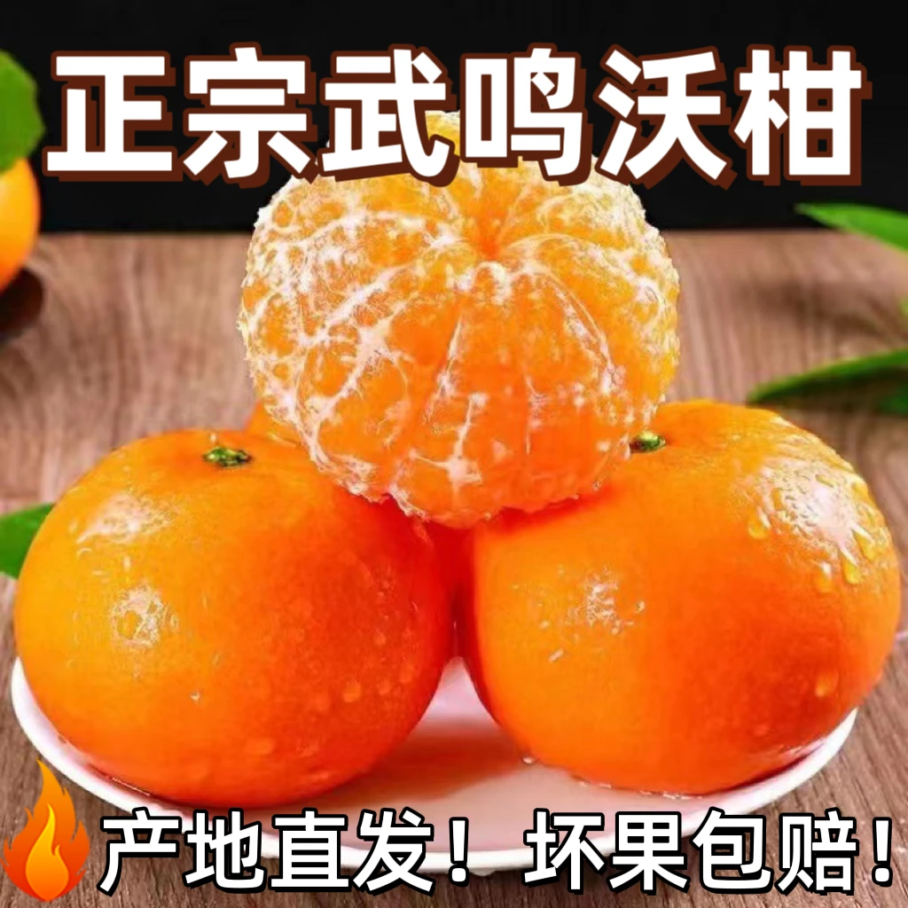 广西武鸣沃柑5斤香甜皮薄多汁新鲜现摘现发柑橘-D