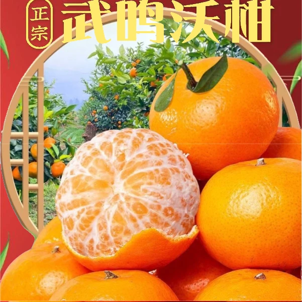 广西武鸣沃柑花皮5-9斤装香甜皮薄多汁新鲜现摘现发柑橘-LDD
