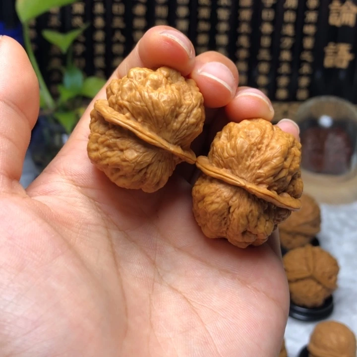 橄榄核吊坠37血舍利