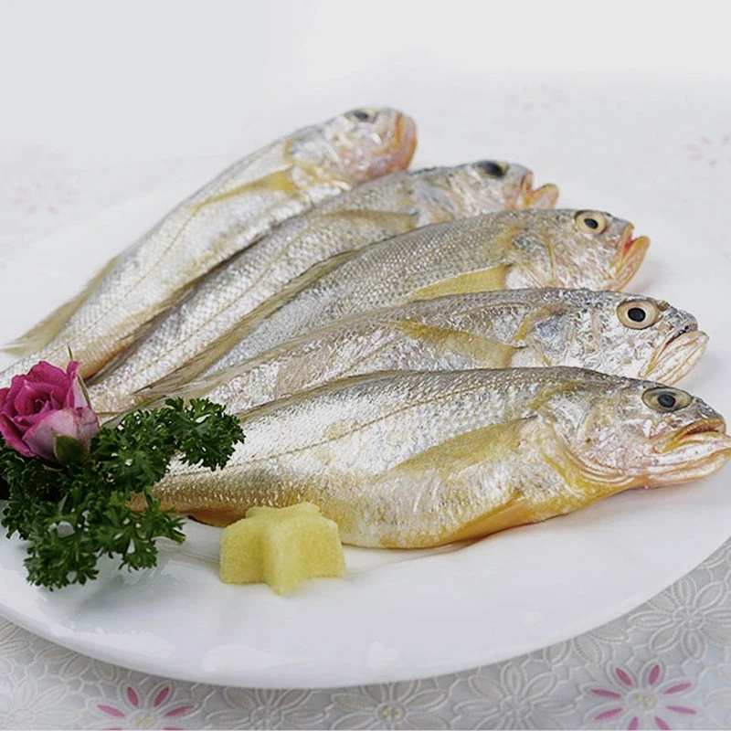 渤海湾野生海捕小黄花鱼5斤/件每斤9-10条鲜活货速冻新鲜精品美味