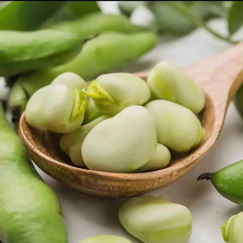 云南特产农家新鲜带壳蚕豆青豆农家蔬菜