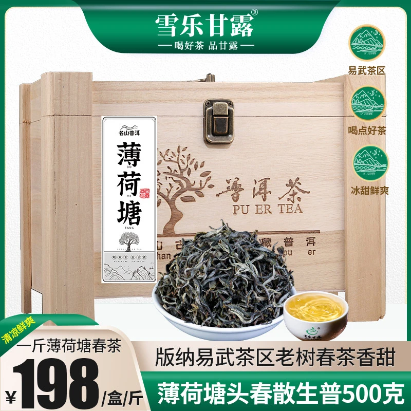 2024薄荷塘春茶散茶生普500g礼盒装茶叶云南普洱茶易武茶区高品质