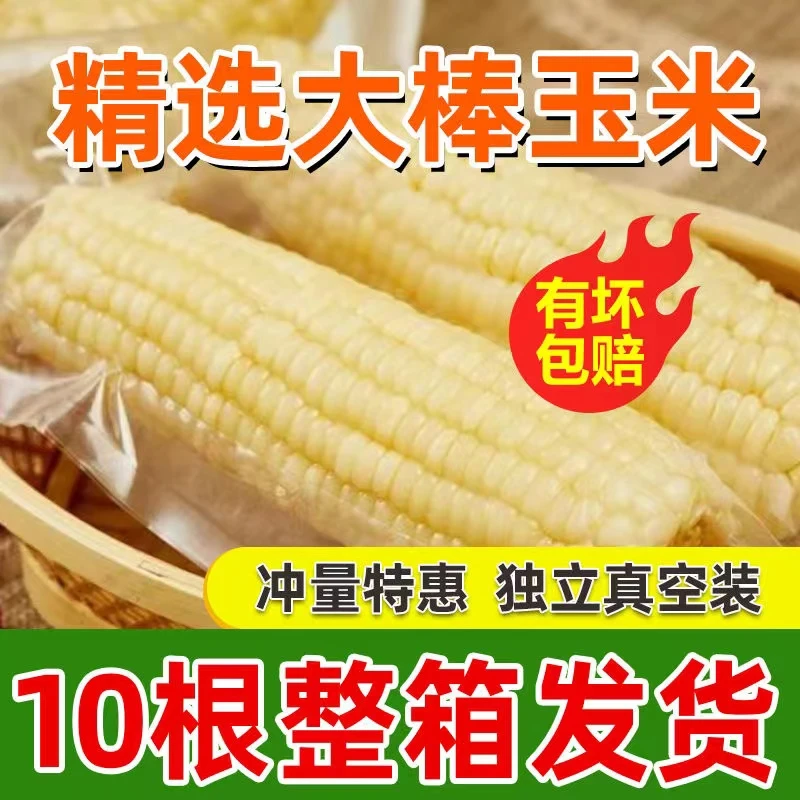 【精品大果】白糯玉米到手10根一箱5斤以上真空包装250-320克CL