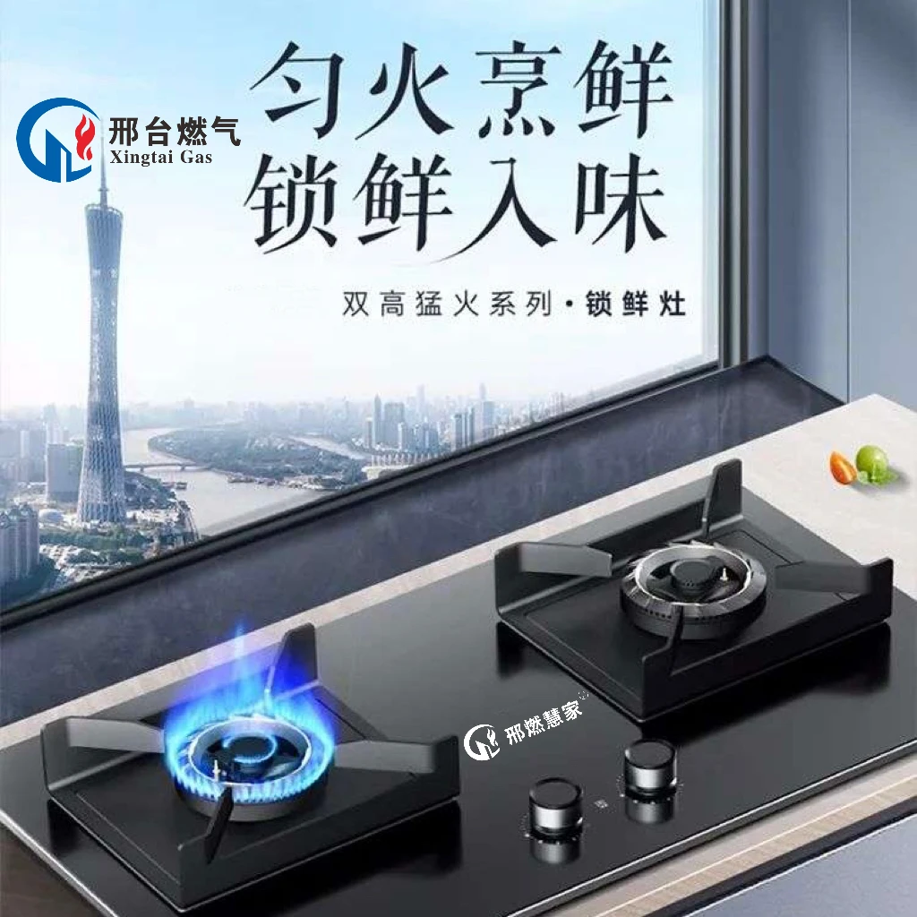 邢燃慧家JZT-ZB16XR双灶猛火灶燃气灶具
