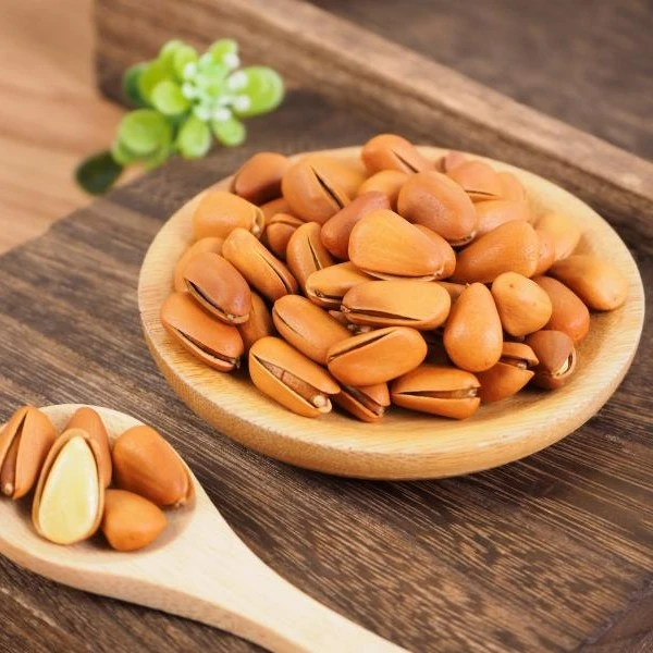 九儿菇凉坚果产品甄选开口高山松子优质品质大颗粒饱满150g/罐