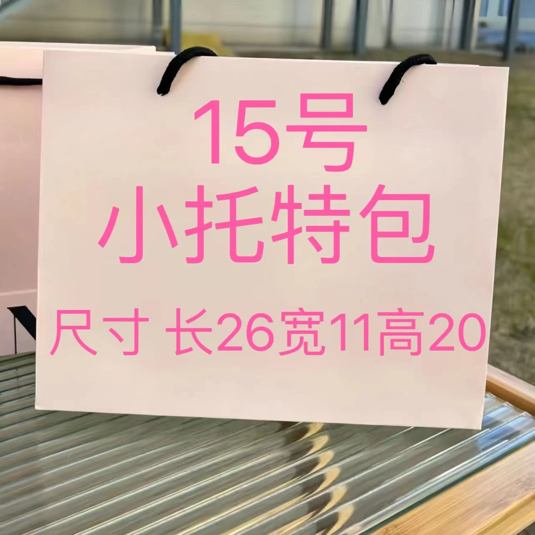【15号】斜挎手提包 网红时尚女士夏季潮流便携立体轻奢百搭款 K25
