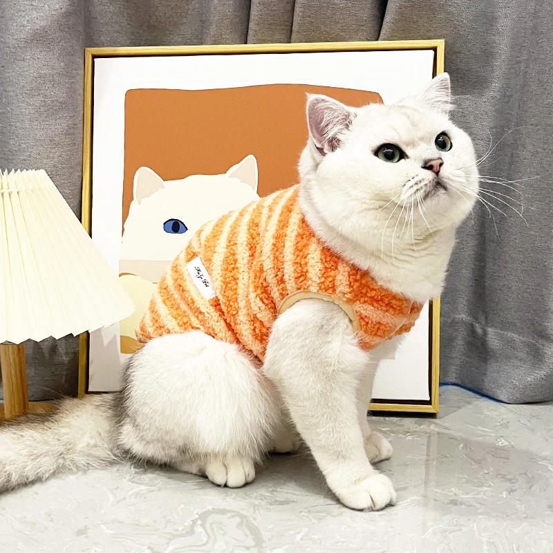 可爱猫咪衣服冬季保暖宠物美短布偶矮脚蓝猫银渐层防掉毛加绒背心