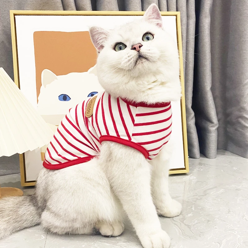 条纹夏天宠物猫咪衣服薄款布偶金银渐层加菲矮脚猫韩版防掉毛背心