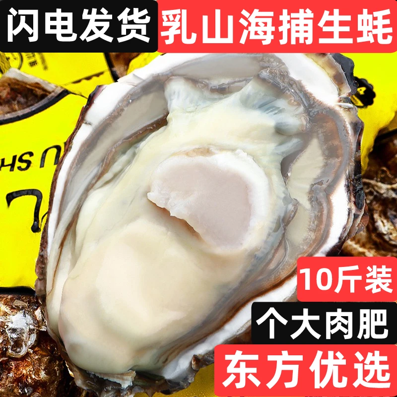 【蚝吉】10斤畅吃装 乳山生蚝鲜活到家牡蛎源产地现捞直发 京东包邮