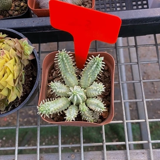 泉立方的产品质量是我们