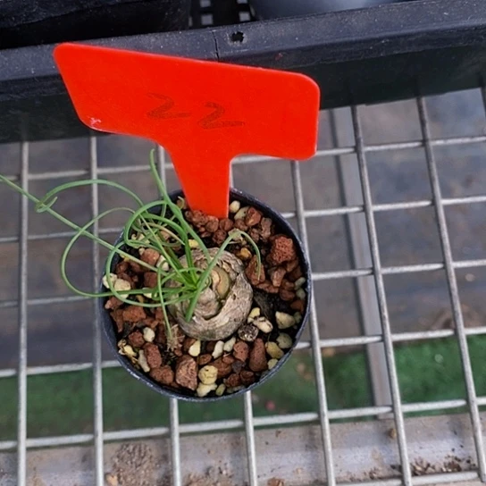 伯克利和他女朋友在一起w