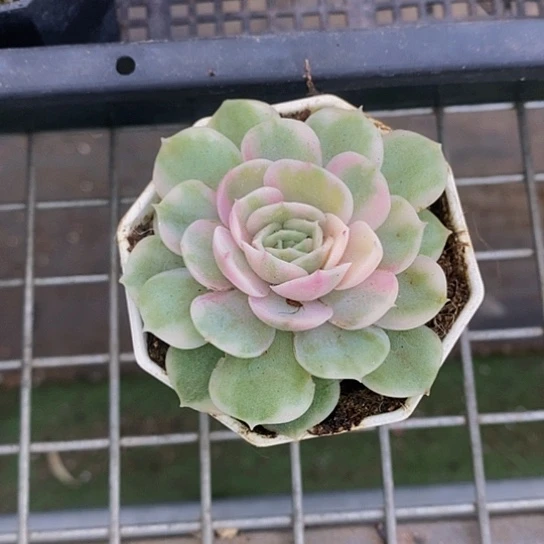 伯克利和他的朋友在一家酒店