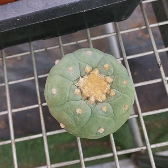 伯克利和他女朋友在一起