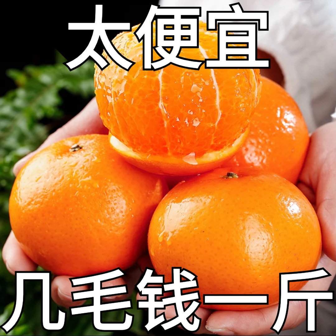 【超低价】广西武鸣沃柑1/5/9斤超甜皮薄新鲜水果果园基地产地直发