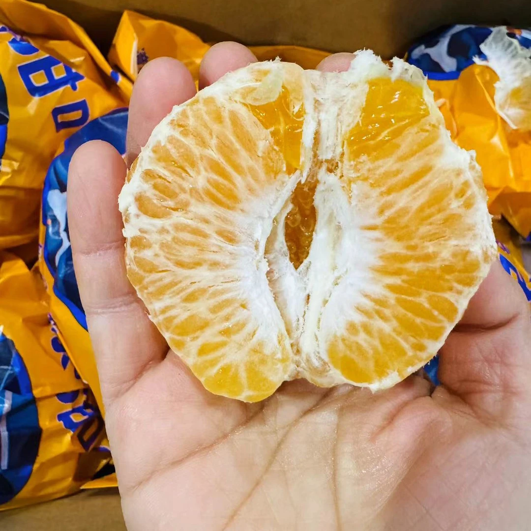 【六妈推荐】春见耙耙甘甜水润多汁1件4斤起辽宁发货