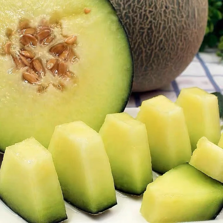 【六妈推荐】玫珑瓜 甜蜜细腻冰淇淋口感1颗2斤起辽宁发货