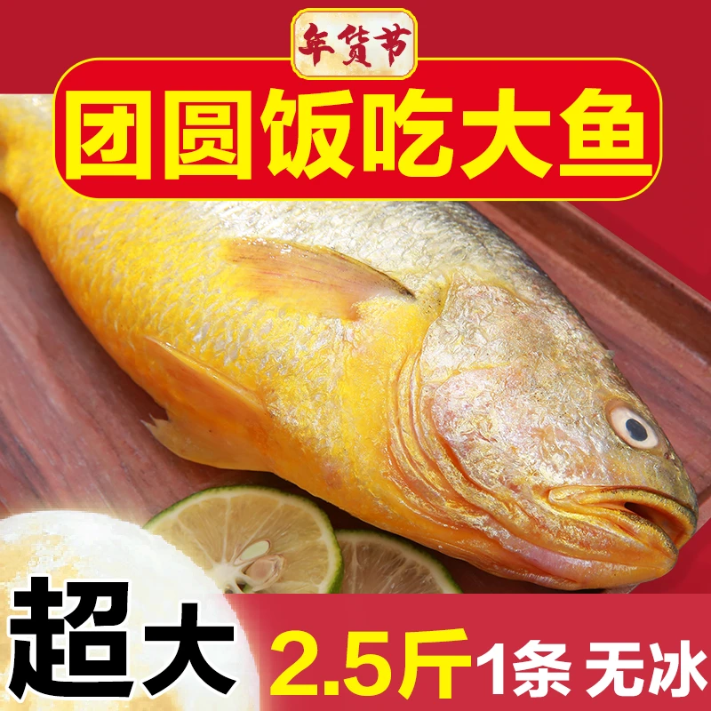 2.5斤/条 正宗大黄鱼特大号冰鲜黄花鱼