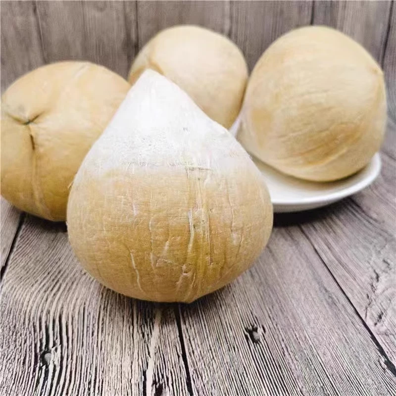 海南三亚新鲜小椰皇 牛奶小椰子 奶香味小椰皇 椰子椰皇