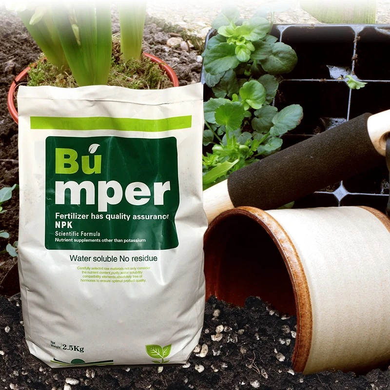 营养土种菜土阳台种菜土四季简单蔬菜种子蔬菜苗