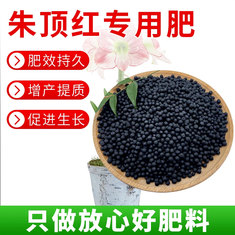 朱顶红专用肥料促生根增绿长效家用园艺花卉绿植有机颗粒缓释肥