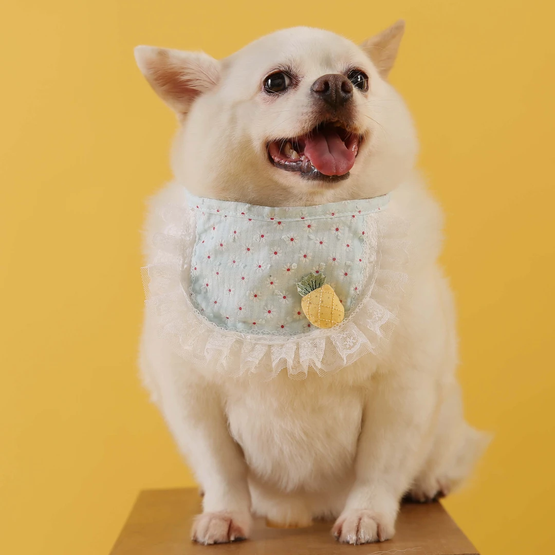 猫咪狗狗口水巾可爱宠物围兜布偶猫围脖项圈口水兜装饰饰品配饰