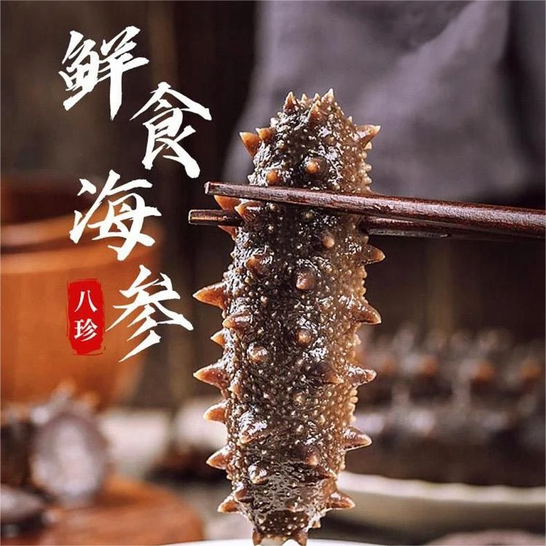 【乐屿】正宗即食传统大连海参辽刺参口感Q弹冷链发货8-10头/斤