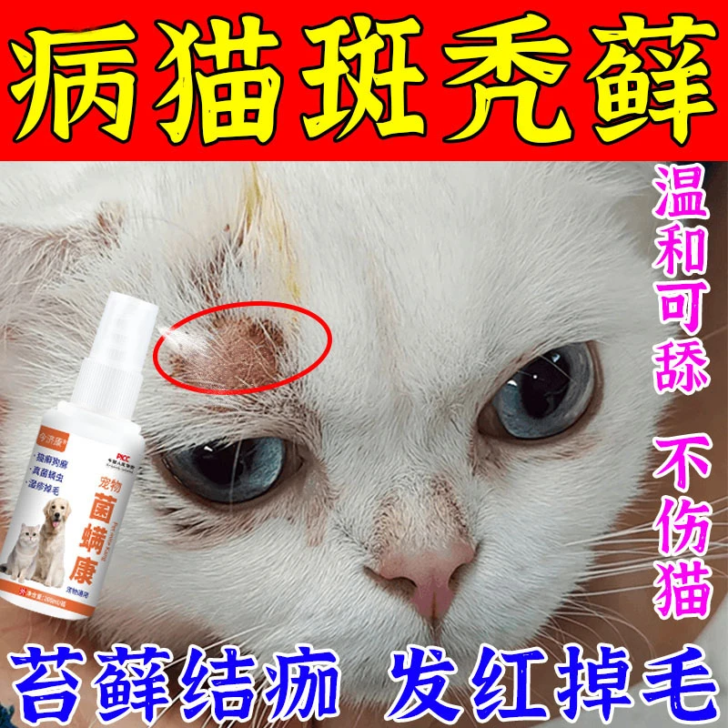 今济康菌螨康猫咪斑秃掉毛苔藓红肿结痂猫狗温和可舔不伤宠喷剂
