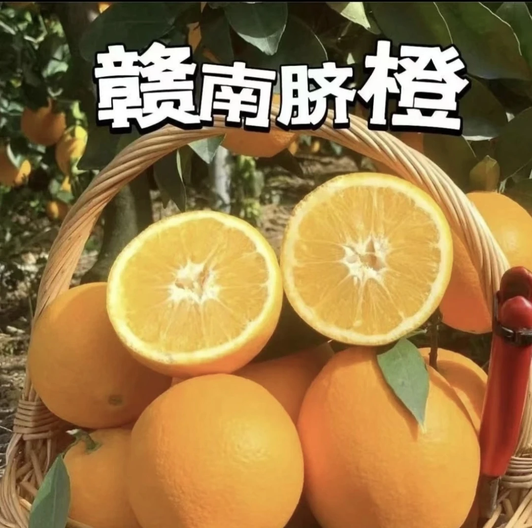 【明日达】赣南脐橙整箱9-10斤带箱纽荷尔新鲜现摘果园直发