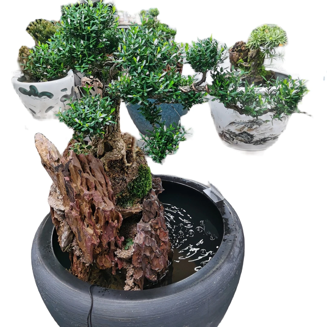 手工种植假山石流水一体盆景、大水缸盆景、手工假山石