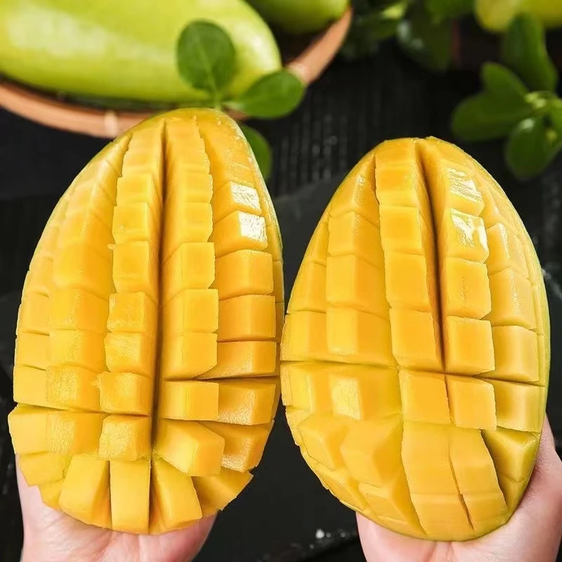 【放软食用】青皮金煌芒果5斤带箱500g+3-4个新鲜应季水果坏果包赔P