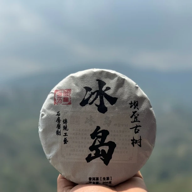 2019年冰岛坝歪古树春200克饼普洱生茶 汤感细腻柔滑