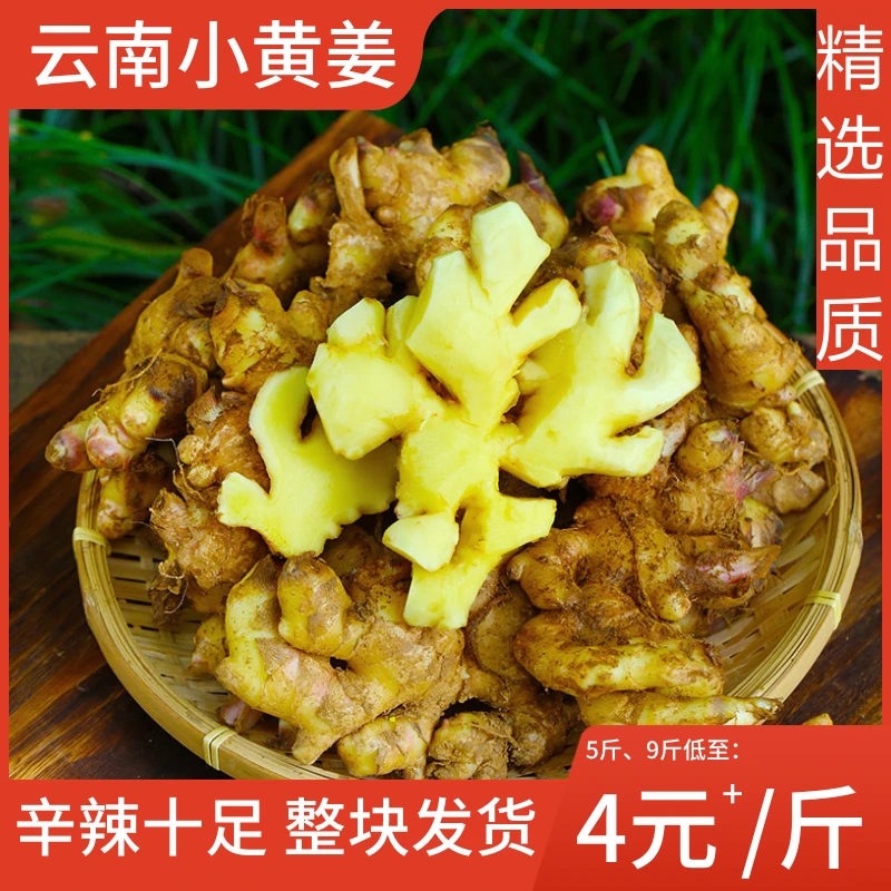 精品正宗云南小黄姜新鲜现挖生姜辛辣整块1斤3斤5斤9斤腌制煲汤W