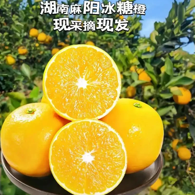 当季新鲜水果麻阳锦蜜冰糖橙处甜蜜爆汁榨汁橙子3公斤装一件包邮