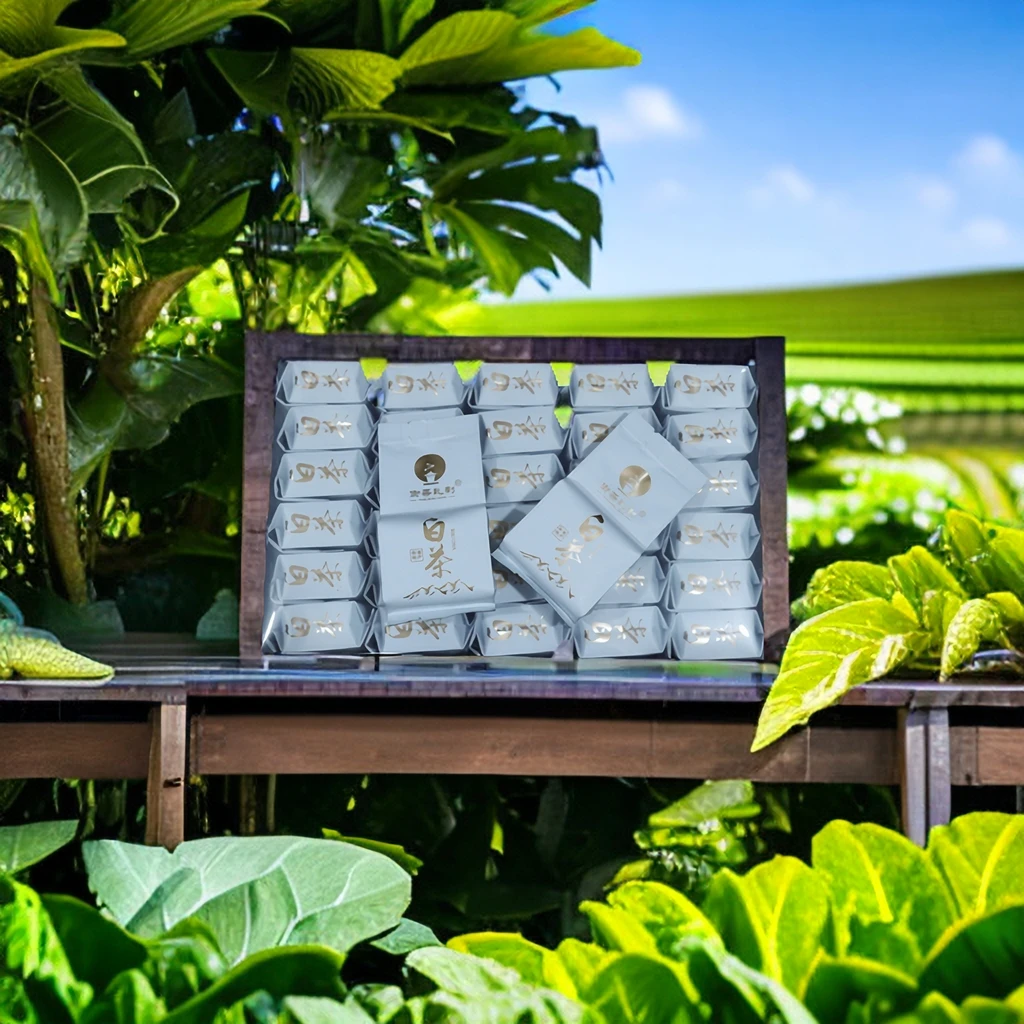 2023年头采安吉高山白茶明前手工绿茶兰花香茶叶一袋一泡口粮茶