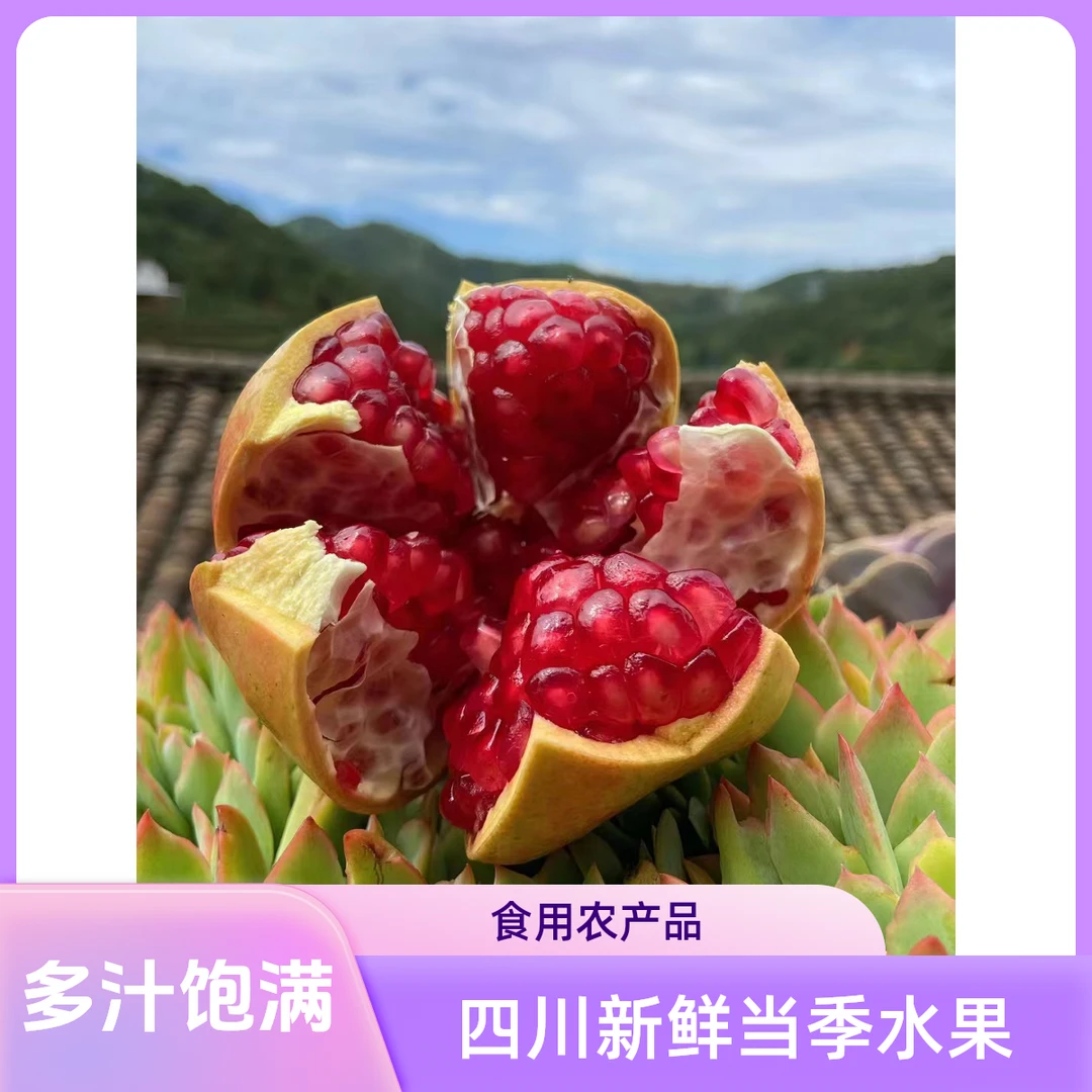 【会理软籽石榴】突尼斯软籽石榴四川新鲜当季水果多汁饱满甜纯甜