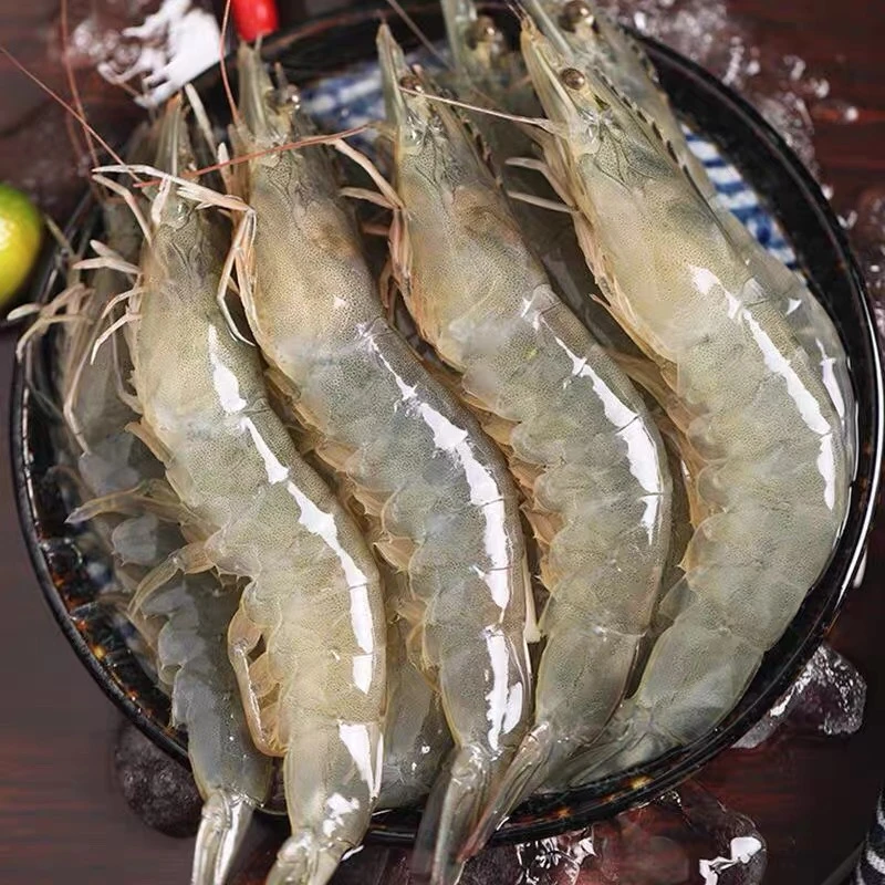 青岛鲜对虾大500g