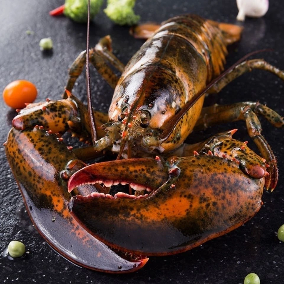 波士顿龙虾1只 900-1000g