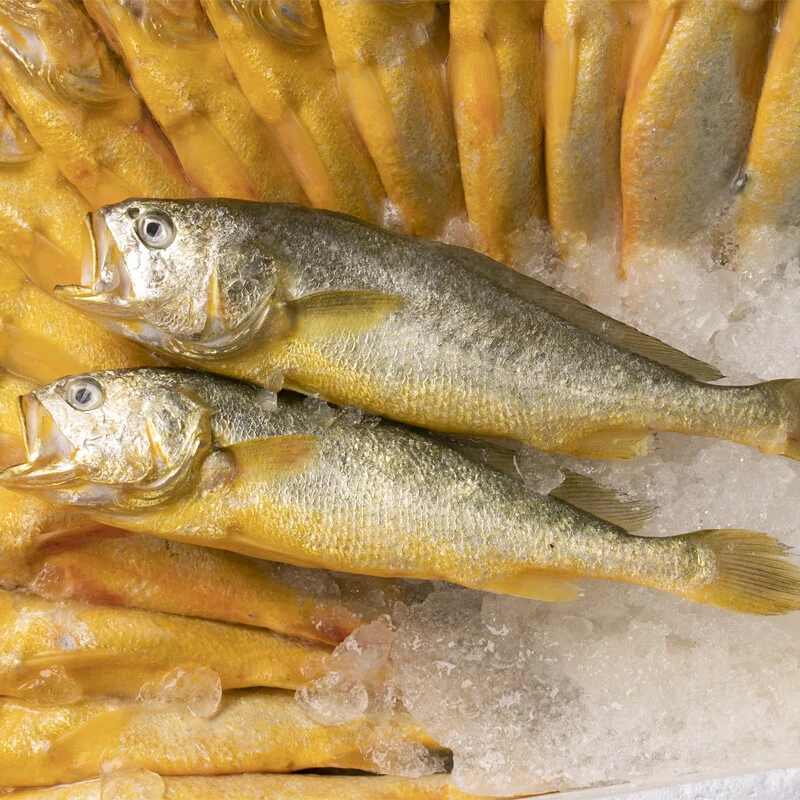深海小黄花鱼 500g（默认杀好，不需杀鱼请备注)