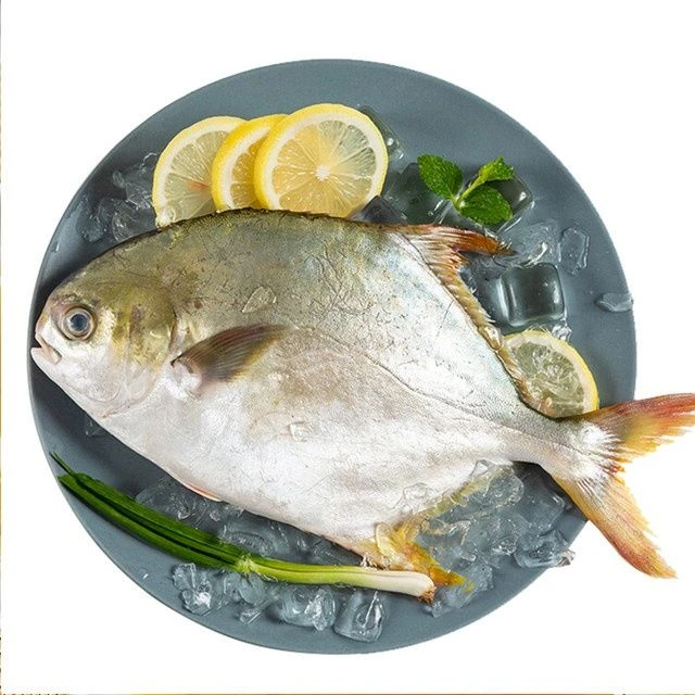 金鲳鱼1条 700g~800（默认杀好，不需杀鱼请备注）