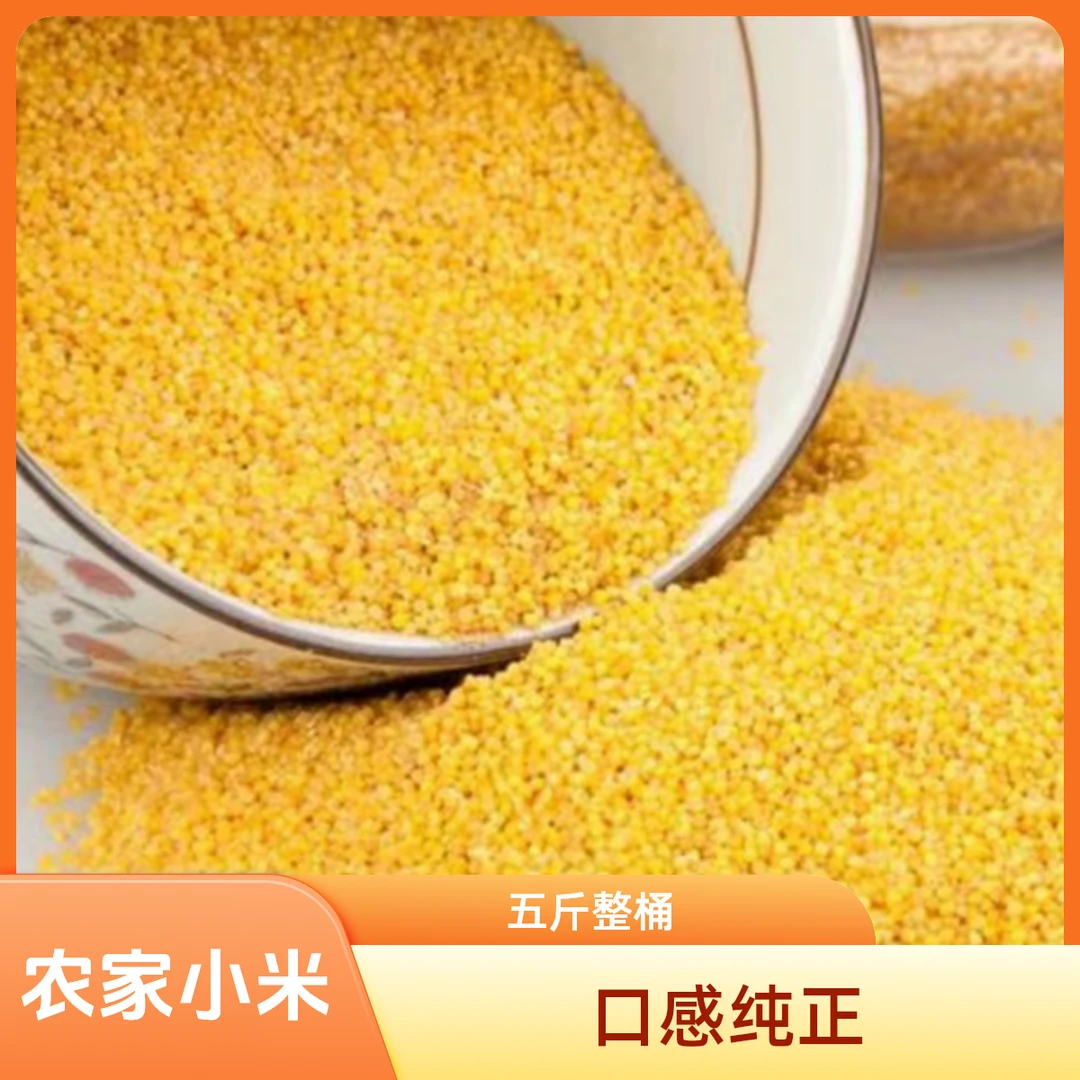 农家小米一桶5斤