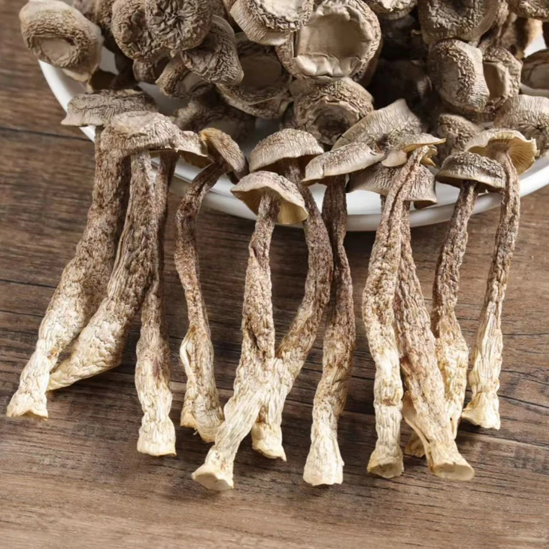 云南高山头茬鹿茸菇煲汤炒菜凉拌农家特产脆脆菇净重