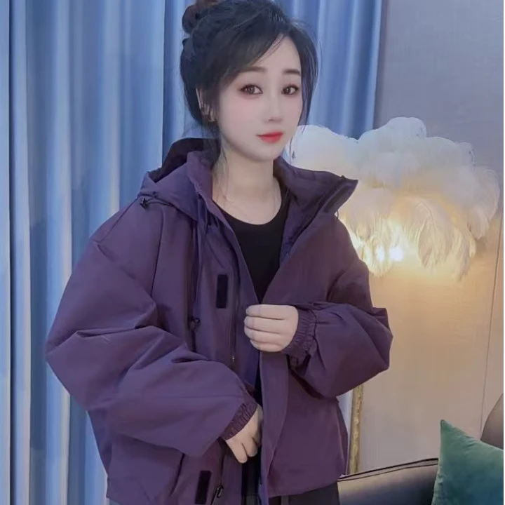 丹丹精选--9988新款立领连帽拉链魔术贴冲锋衣棉外套